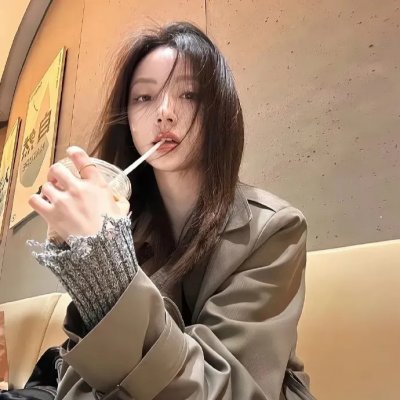 完美伴侣